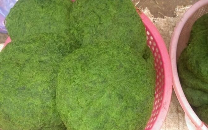 Tìm hiểu về món Rêu đá đặc sản của núi rừng Tây Bắc