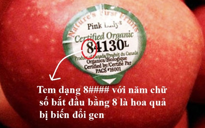 Mã số dán trên trái cây giúp bạn hiểu rõ hơn về nguồn gốc, phương pháp canh tác và mức độ an toàn của loại trái cây mà bạn đang tiêu thụ.