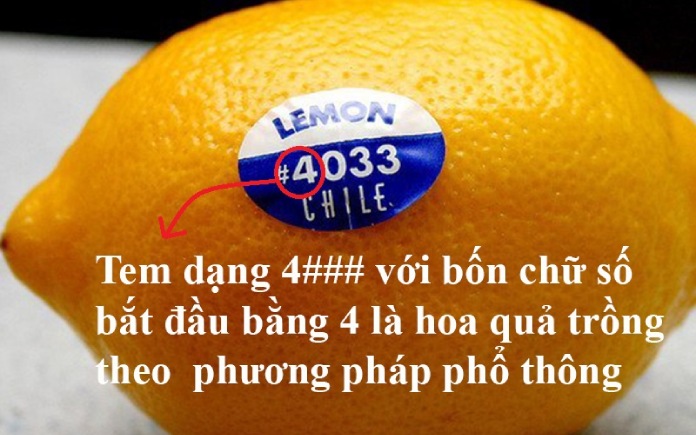 Mã số dán trên trái cây giúp bạn hiểu rõ hơn về nguồn gốc, phương pháp canh tác và mức độ an toàn của loại trái cây mà bạn đang tiêu thụ.