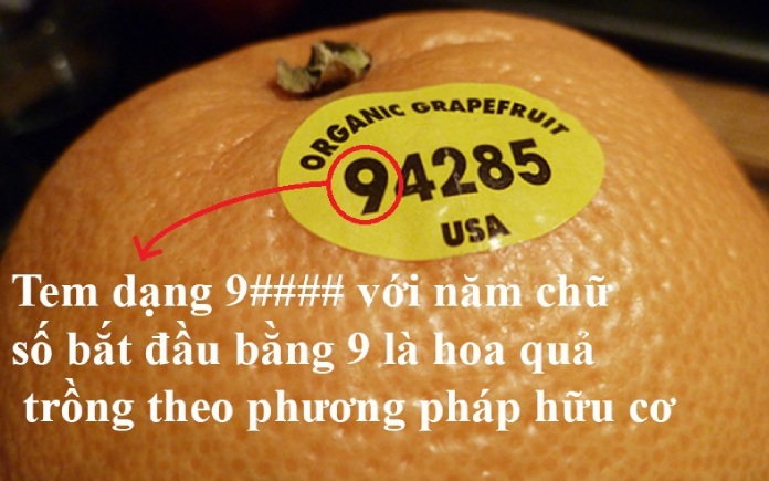 Mã số dán trên trái cây giúp bạn hiểu rõ hơn về nguồn gốc, phương pháp canh tác và mức độ an toàn của loại trái cây mà bạn đang tiêu thụ.