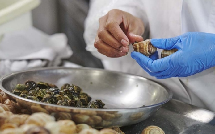 Escargot là loại ốc sên được chế biến cầu kì để tạo nên những món ăn nổi tiếng. Foodnk sẽ cùng bạn tìm hiểu cách sơ chế ốc sên Escargot