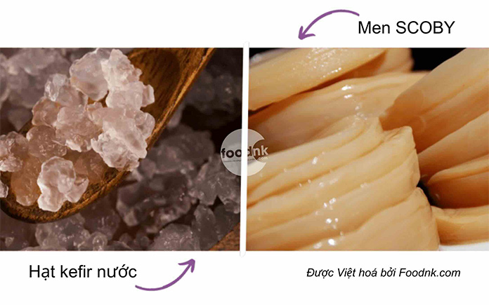 Kombucha và Water Kefir là hai loại đồ uống phổ biến, không chỉ bởi hương vị đặc trưng mà còn bởi lợi ích sức khỏe mà chúng mang lại.