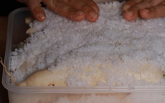 Món xá bấu mặn Bạc Liêu rất được ưa thích phải trải qua nhiều công đoạn. Foodnk sẽ cùng bạn tìm hiểu về quy trình sản xuất xá bấu mặn nhé!