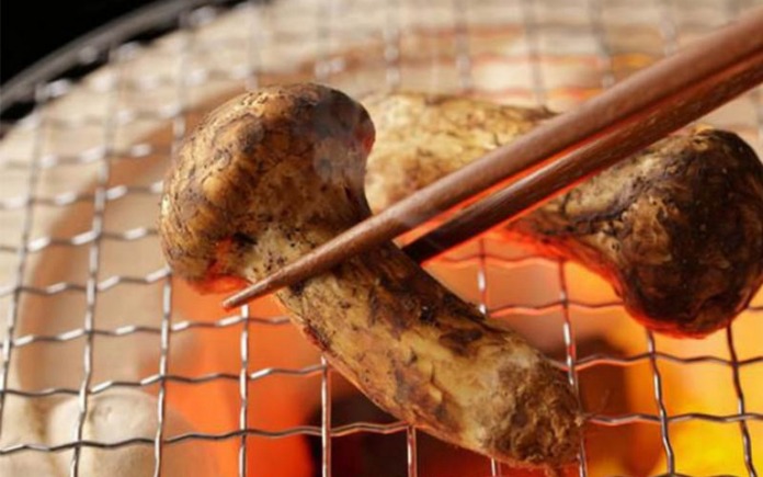 Matsutake của Nhật Bản được liệt kê vào top các loại nấm thượng hạng. Hơn hết, với những lý do này đã khiến nấm Matsutake có giá đắt đỏ