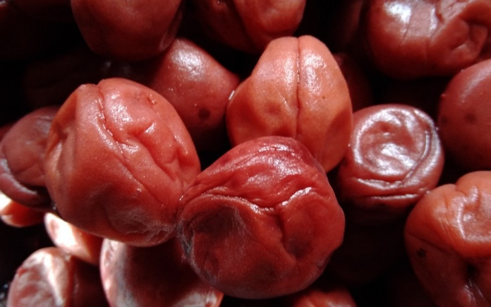 Các tín đồ ẩm thực không thể nào bỏ qua được Umeboshi của Nhật Bản. Và Foodnk sẽ cùng bạn tìm hiểu rõ về quy trình sản xuất Umeboshi này