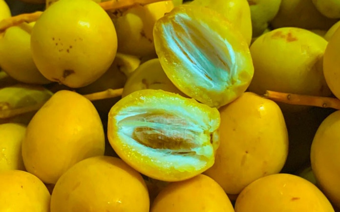 Quả chà là được xem là loại trái cây có tính ứng dụng cao trong đời sống. Trong bài viết sau, Foodnk sẽ cùng bạn tìm hiểu về quả chà là nhé!