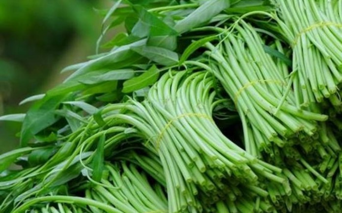 Rau muống là thực phẩm thường được bổ sung vào các bữa ăn. Vậy Foodnk sẽ cùng bạn tìm hiểu về rau muống có những đặc điểm gì nổi bật nhé!