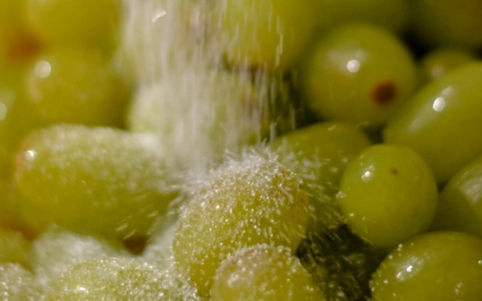 Nho sấy dẻo là một sản phẩm có những ưu điểm vượt trội. Foodnk sẽ cùng bạn tìm hiểu rõ hơn về quy trình sản xuất nho sấy dẻo này nhé!