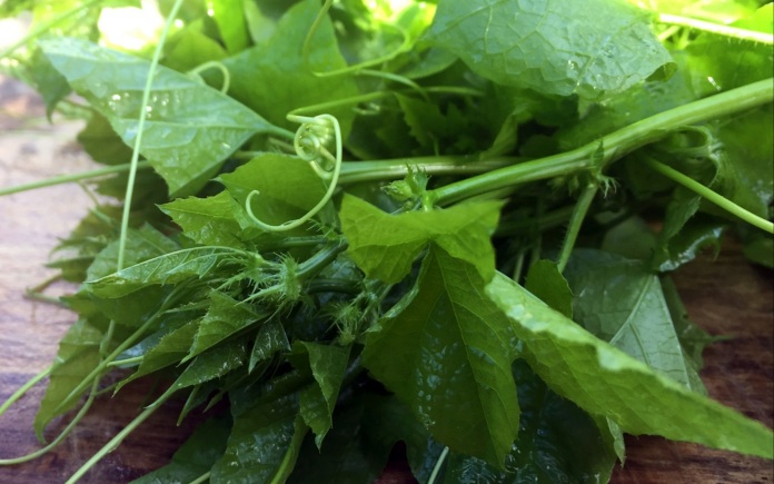 Rau nhãn lòng là một loại rau xanh được nhiều người chú ý đến vì rất tốt cho sức khỏe. Foodnk sẽ cùng bạn tìm hiểu về rau nhãn lòng này nhé!