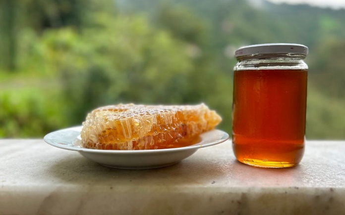 Có rất nhiều loại từ bình dân đến đắc đỏ, trong đó có mật ong Mad Honey. Foodnk sẽ cùng bạn tìm hiểu về mật ong Mad Honey này nhiều hơn nhé!