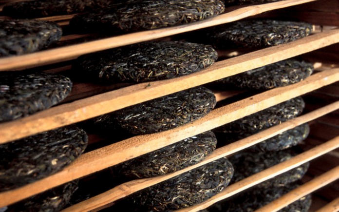 Trà Puer là đặc sản nổi tiếng có giá trị cao trong thế giới trà. Vậy, yếu tố nào đã giúp cho trà Puer đắc đỏ mà vẫn được ưa chuộng như thế?