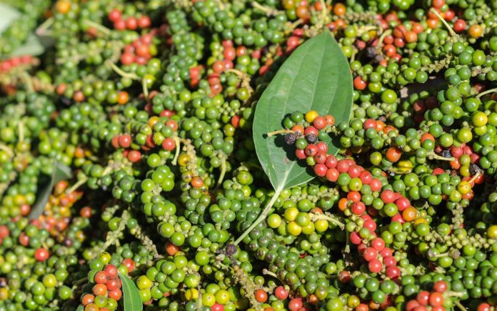 Hạt tiêu mang lại hương vị cay nồng và làm tăng hương vị cho nhiều món ăn. Foodnk sẽ cùng bạn tìm hiểu về hạt tiêu trong ẩm thực nhé!