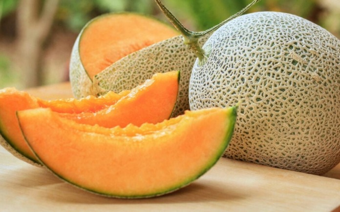 Trái cây luôn chứa nhiều chất dinh dưỡng và ngon, trong đó có quả dưa lưới. Vậy, Foodnk sẽ cùng bạn tìm hiểu về quả dưa lưới nhiều hơn nhé!