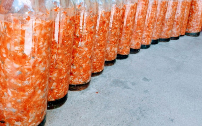 Mắm sò có mùi vị độc đáo và dân dã. Trong bài viết sau đây, Foodnk sẽ cùng bạn tìm hiểu quy trình chung nhất cần có để sản xuất mắm sò nhé!