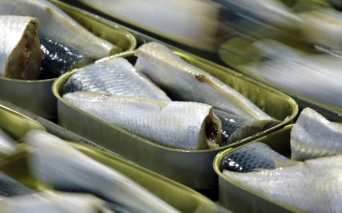 Cá mòi đóng hộp rất quen thuộc với người thích lựa chọn một bữa ăn nhanh. Foodnk sẽ cùng bạn tìm hiểu cách sản xuất cá mòi đóng hộp nhé!