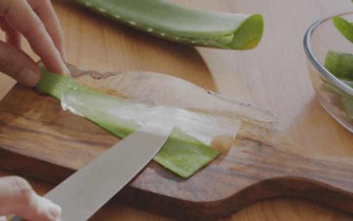 Nếu sơ chế không đúng cách, nha đam rất dễ nhớt và đắng, làm mất ngon và khó ăn. Foodnk sẽ mách bạn cách sơ chế nha đam đúng chuẩn giòn ngon