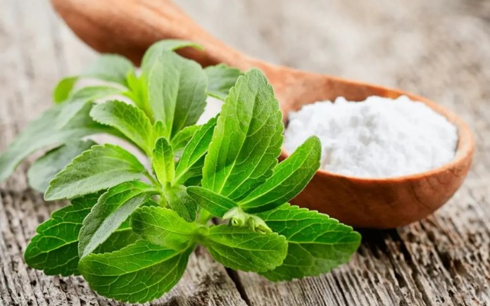 Chất tạo ngọt tự nhiên Stevia rất được ưa chuộng trong ngành thực phẩm. Foodnk sẽ cùng bạn tìm hiểu về phụ gia thực phẩm Stevia này nhé!