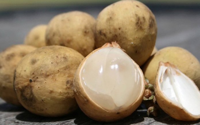 Bòn bon là trái cây nhiệt đới quen thuộc trong đời sống mang lại nhiều lợi ích cho sức khỏe. Foodnk sẽ cùng bạn tìm hiểu về quả bòn bon nhé!