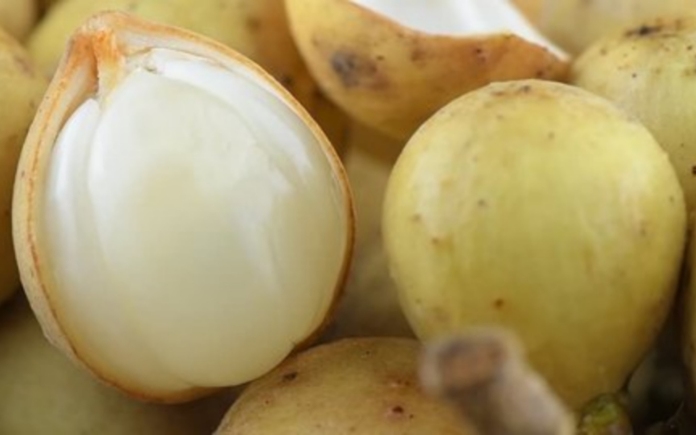 Quả Bòn Bon được nhiều người yêu thích nhờ vị chua ngọt dễ ăn. Tuy nhiên trong một số trường hợp, ăn quả Bòn Bon có thể ảnh hưởng sức khỏe