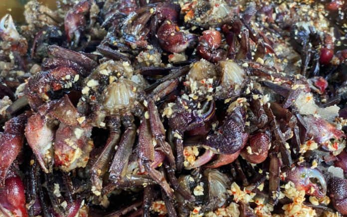 Ba khía muối có mùi vị độc đáo và ngon nhưng cũng kén người thưởng thức. Foodnk sẽ cùng bạn tìm hiểu về quy trình sản xuất ba khía muối nhé!