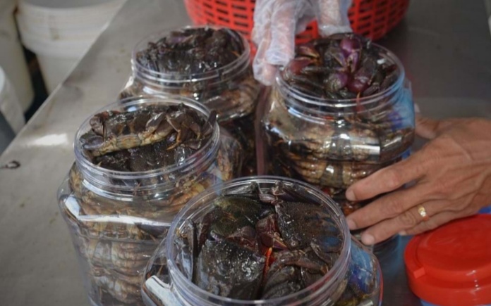 Ba khía muối có mùi vị độc đáo và ngon nhưng cũng kén người thưởng thức. Foodnk sẽ cùng bạn tìm hiểu về quy trình sản xuất ba khía muối nhé!