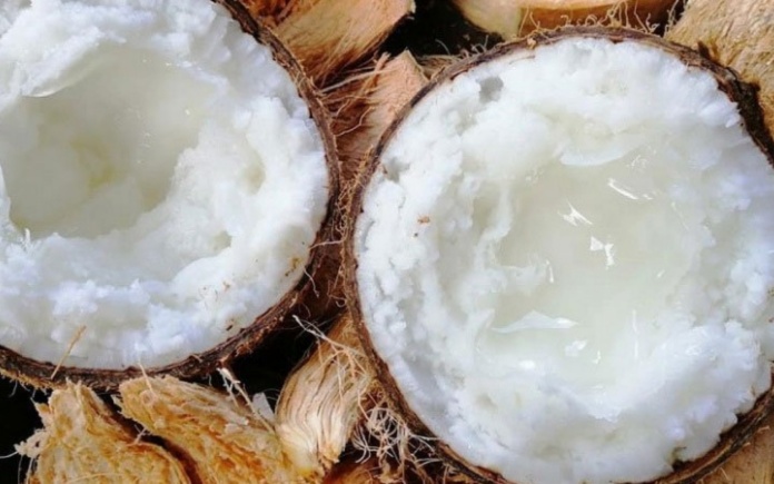 Dừa sáp không chỉ có hương vị khác lạ mà còn mang giá trị kinh tế cao. Trong bài viết sau đây, Foodnk sẽ cùng bạn tìm hiểu về quả dừa sáp nhé!