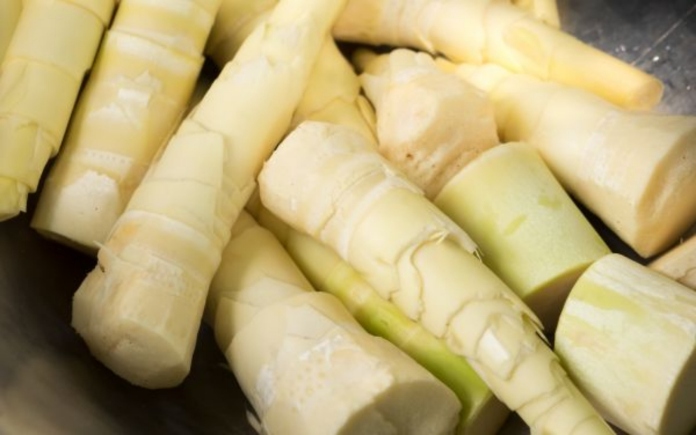 Măng tươi thường có vị đắng và không xử lý đúng cách sẽ ảnh hưởng hương vị món ăn. Foodnk sẽ cùng bạn tìm hiểu cách luộc măng hết đắng nhé!