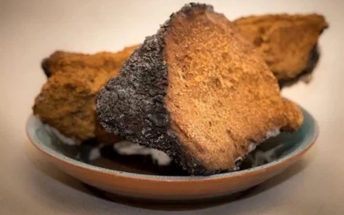 Ngày nay, chiết xuất nấm Chaga được ứng dụng khá rộng rãi trong nhiều lĩnh vực. Foodnk sẽ cùng bạn tìm hiểu về phía gia thực phẩm này nhé!