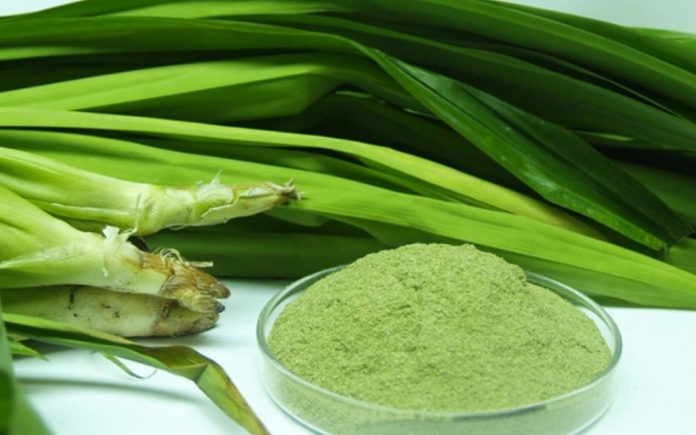 Hương lá dứa được sử dụng nhiều trong ẩm thực để tạo mùi vị và màu sắc đặc biệt cho món ăn. Foodnk sẽ cùng bạn tìm hiểu về hương lá dứa nhé!