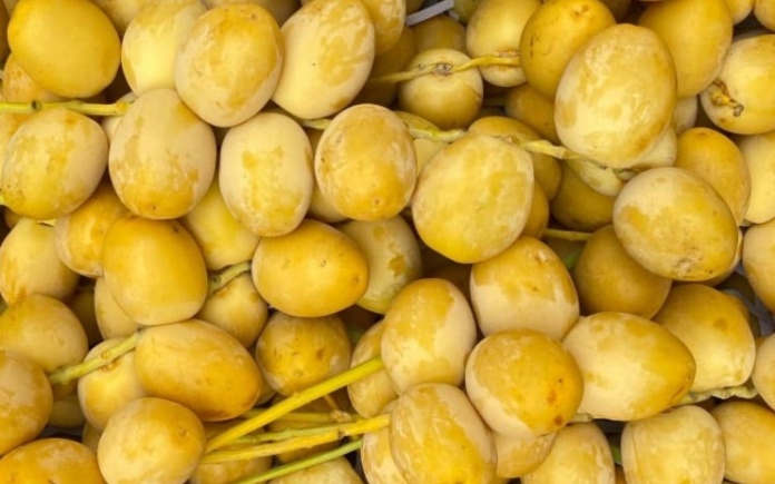 Hương quả chà là rất được ưa chuộng vì đáp ứng được xu hướng tiêu dùng hiện đại. Foodnk sẽ cùng bạn tìm hiểu phụ gia hương quả chà là nhé!