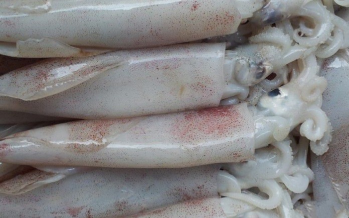 Hương mực giúp kích thích vị giác và tối ưu chi phí sản xuất. Trong bài viết sau, Foodnk sẽ cùng bạn tìm hiểu về phụ gia hương mực này nhé!